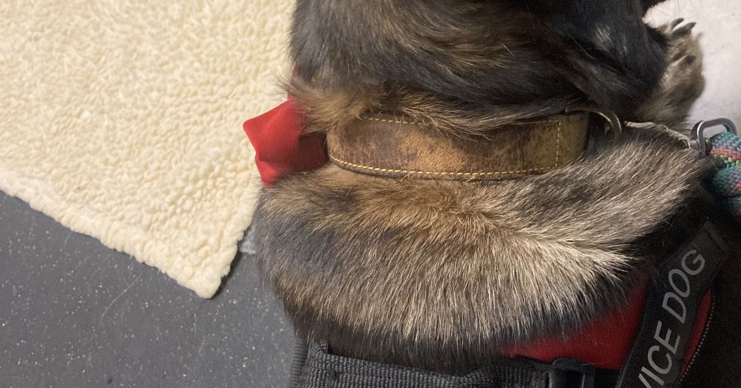 Coming Out From Hiding My Hearing Loss Psychology Today